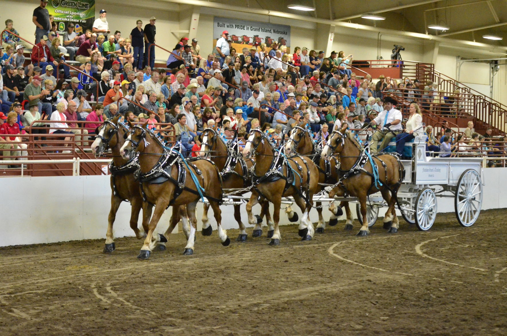 8-25-19 Draft Horse Hitch Final (99).JPG